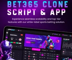 From Startup Idea to Live Sportsbook – The Power of a Bet365 Clone Platform