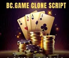 Budget-Friendly BC.Game Clone Solution for iGaming Entrepreneurs